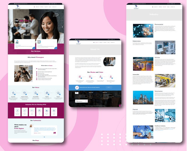 primesygnus.com - Website Design - WP-Entry